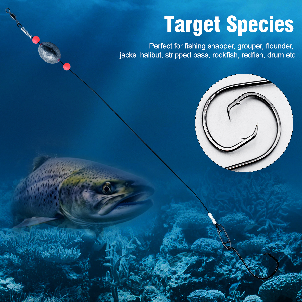 ZYZHE 2pcs Fishing Carolina Ri – Fishing Hook Circle recenzja i cena