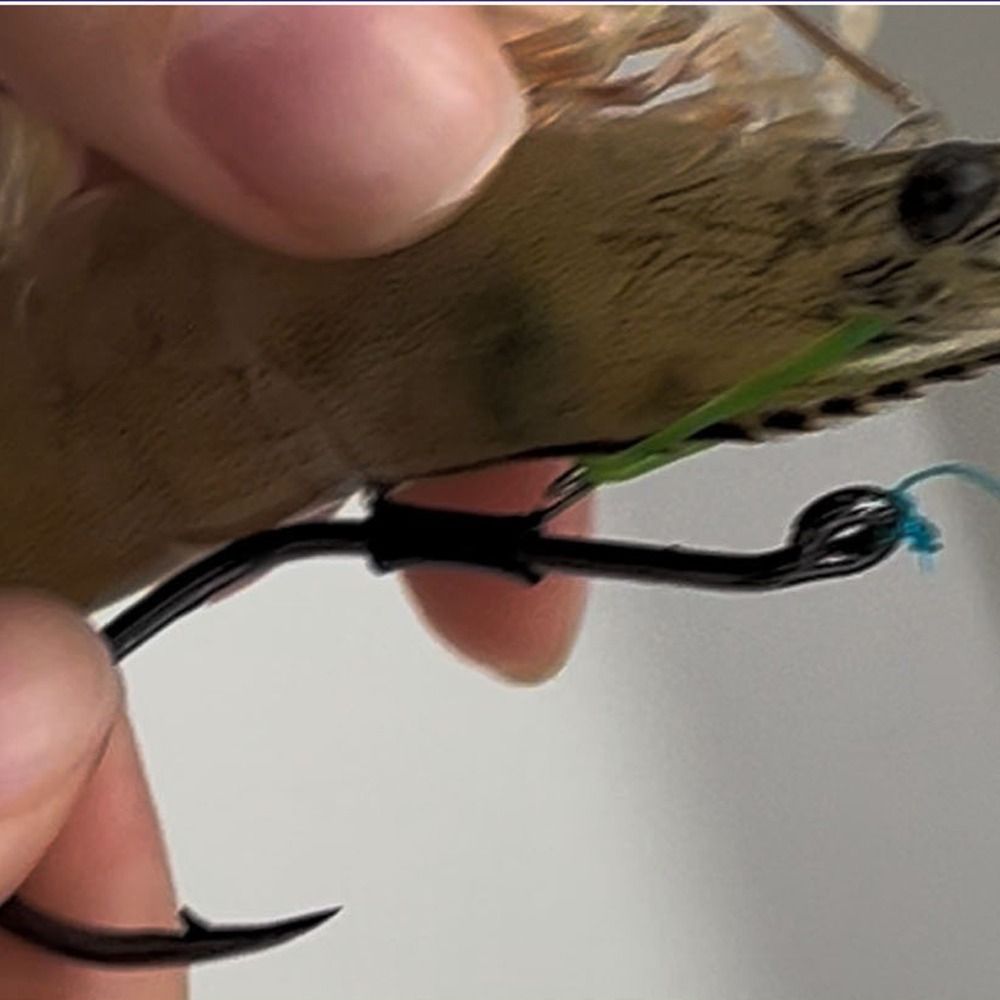 10pcs Pickerel Live Shrimp Bai – Fishing Hook Weedless recenzja i cena